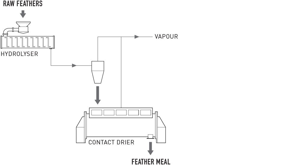 Continuous Feather Processing System