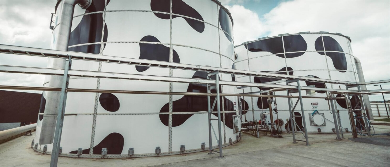 Yashili (NZ) Dairy Company, Pokeno NZ